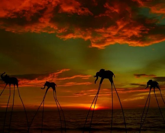 Vé Vào Cổng Sunset Sanato Beach Club Phú Quốc